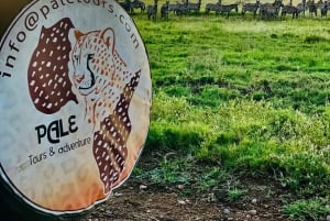 Аруша: однодневная поездка в национальный парк Тарангире