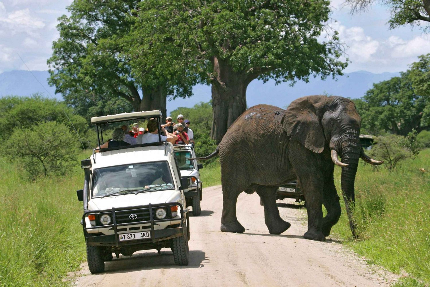 Arusha: Tarangire nasjonalpark heldags viltsafari