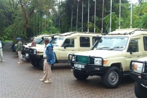 Arusha: Tarangire National Park Full-Day Wildlife Safari