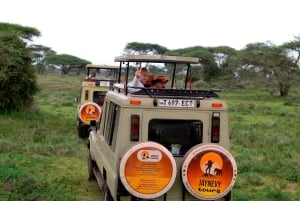 Arusha : excursion privée d'une journée au parc national de Tarangire