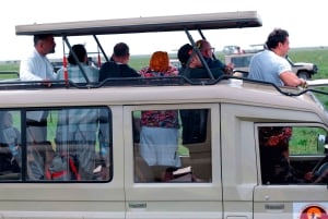 Arusha : excursion privée d'une journée au parc national de Tarangire