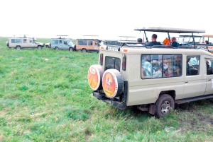 Arusha : excursion privée d'une journée au parc national de Tarangire