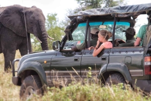 Arusha: Tarangire, Serengeti og Ngorongoro Park 6-dagers safari