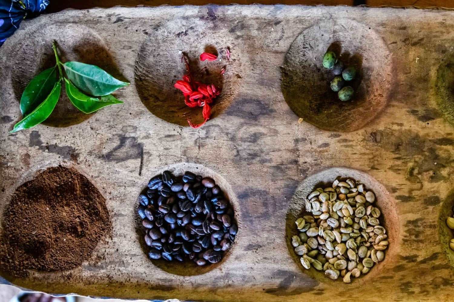 Arusha: Traditionell kaffeberedning (kaffetur)