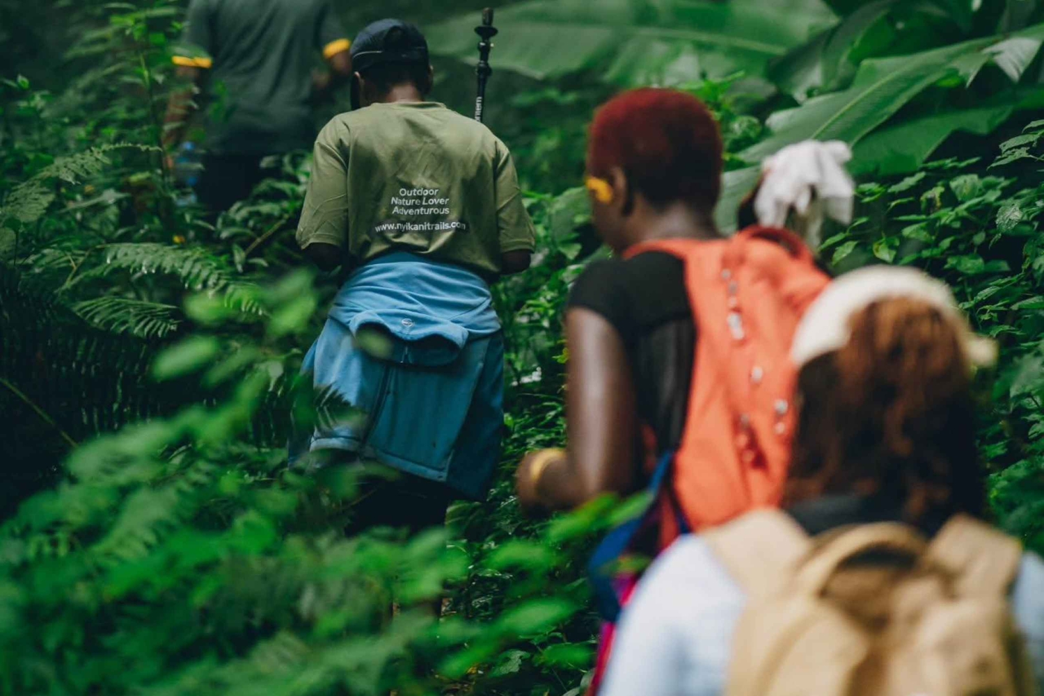 Arusha: Uluguru-fjellene – todagers fottur og campingtur