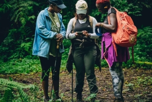 Arusha: Uluguru-fjellene – todagers fottur og campingtur