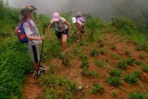 Arusha: Uluguru-fjellene – todagers fottur og campingtur