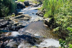 Arusha: Uluguru-fjellene – todagers fottur og campingtur