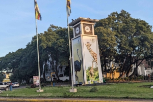 Arusha; Stadsvandring: Historia, kultur och livsstil