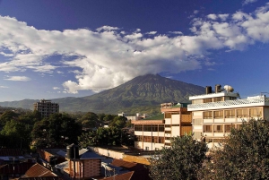 Arusha: cascada, columpio en la montaña, piragüismo y visita al pueblo.