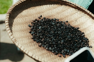 Arusha: cascada, columpio en la montaña, piragüismo y visita al pueblo.