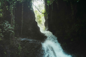 Arusha: cascada, columpio en la montaña, piragüismo y visita al pueblo.