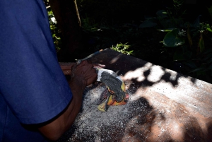 Arusha: Voksmaleriundervisning