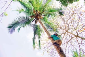 Basis Zanzibar:Spice Farm, Masingini Forest&StoneTown Tour