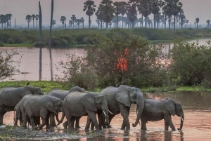 BESTE 3-TÄGIGE SAFARI-TOUR IN TANSANIA AB ARUSHA