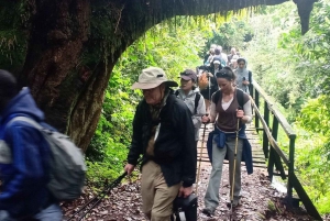 4 dagen om de majestueuze berg Meru te ervaren - Arusha