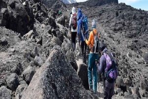 Moshi of Arusha: 6-daagse Kilimanjaro-trekking via de Machame-route