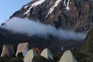 Moshi of Arusha: 6-daagse Kilimanjaro-trekking via de Machame-route