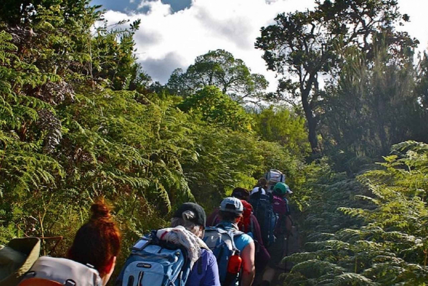 Best 7 days Rongai Route Kilimanjaro Multi-day Hike