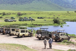 Melhor excursão de um dia para a cratera de Ngorongoro - ISMANI TOURS AND SAFARIS