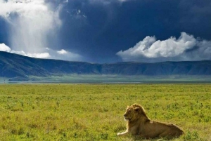 Paras päiväretki Ngorongoron kraatteriin-ISMANI TOURS AND SAFARIS
