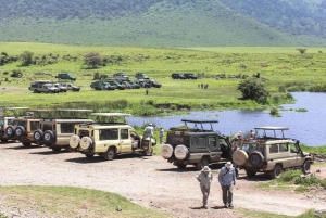 Beste dagexcursie naar de Ngorongorokrater-ISMANI TOURS EN SAFARIS