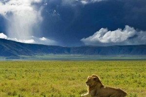 Beste dagexcursie naar de Ngorongorokrater-ISMANI TOURS EN SAFARIS