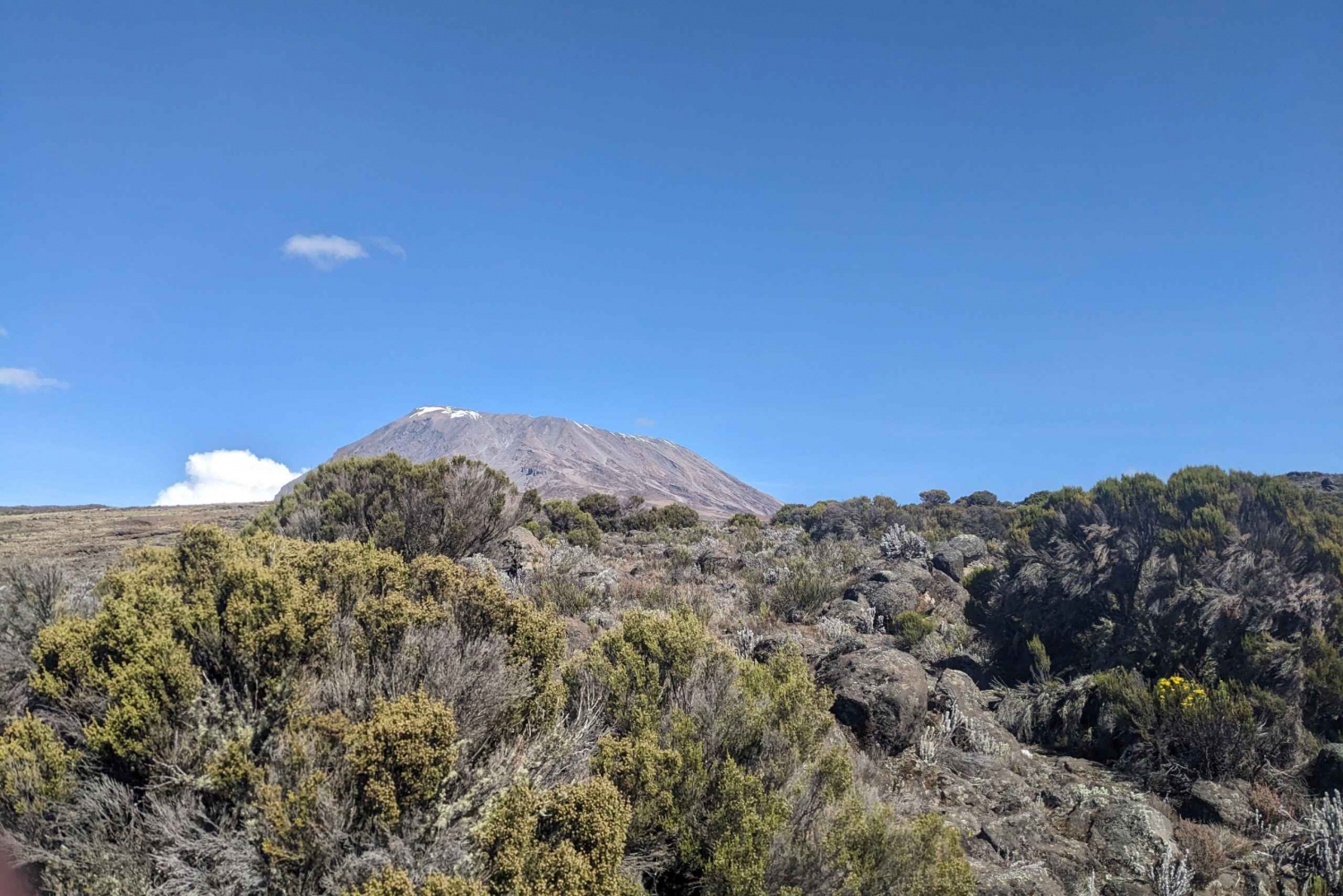 Trek Kilimanjaro: 1-Day Marangu Route Experience