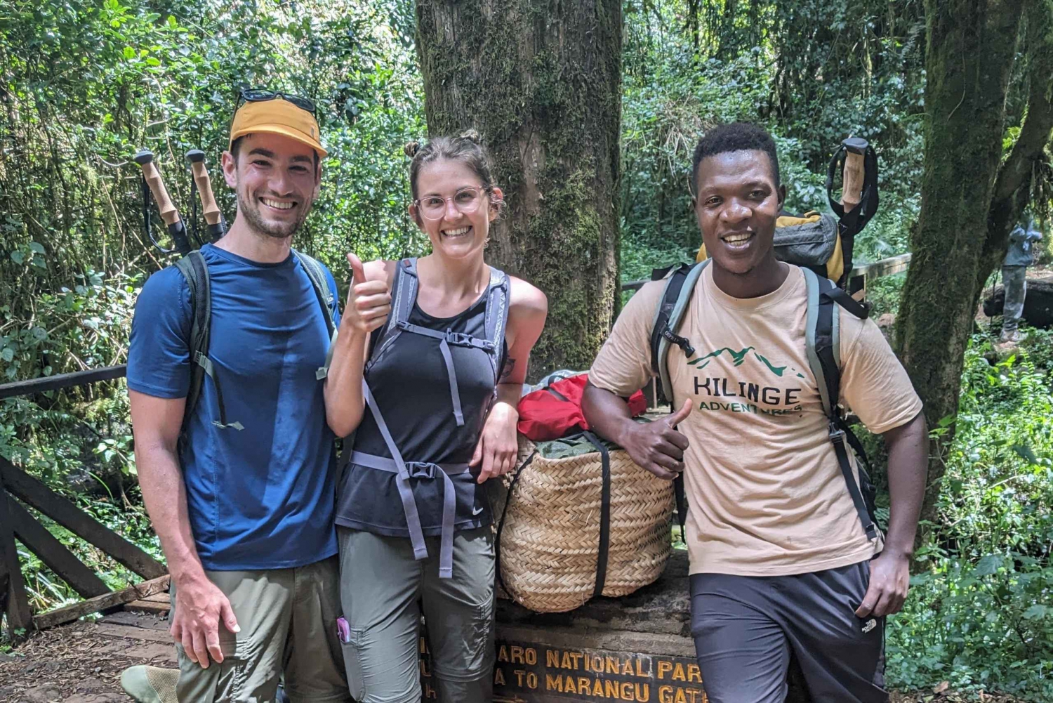 موشي: جولة تسلق طريق كليمنجارو مارانغو بصحبة مرشد سياحي