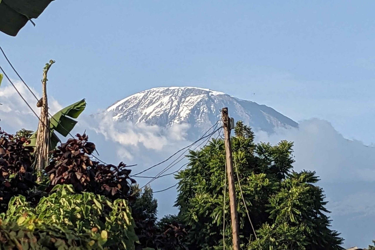 موشي: جولة تسلق طريق كليمنجارو مارانغو بصحبة مرشد سياحي