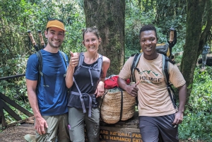 موشي: جولة تسلق طريق كليمنجارو مارانغو بصحبة مرشد سياحي
