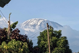 موشي: جولة تسلق طريق كليمنجارو مارانغو بصحبة مرشد سياحي