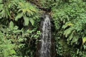 Best Kilimanjaro Day Hike With Car Shira Plateau experience