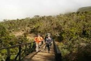 Best Kilimanjaro Day Hike With Car Shira Plateau experience