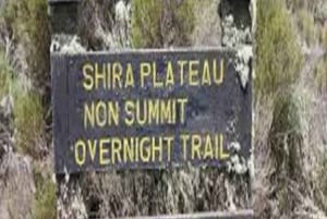 Best Kilimanjaro Day Hike With Car Shira Plateau experience