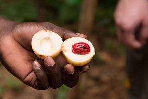 Det bästa av Zanzibar: kryddtur och besök i Stone Town