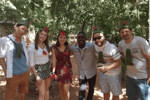 Det bästa av Zanzibar: kryddtur och besök i Stone Town