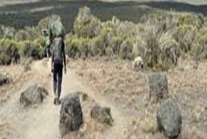 Beste 3-daagse safari in Serengeti en Ngorongoro-krater, Tanzania