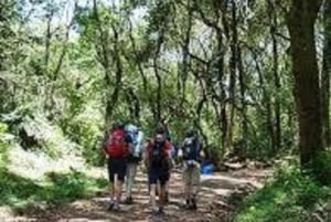 Beste 3-daagse safari in Serengeti en Ngorongoro-krater, Tanzania