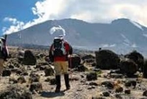 Beste 3-daagse safari in Serengeti en Ngorongoro-krater, Tanzania