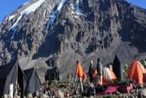 Desde Arusha/Moshi: Excursión de un día al Kilimanjaro por la Ruta de Marangu