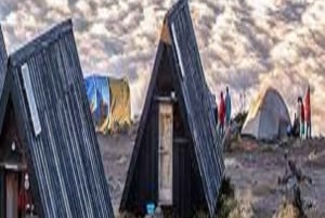 Desde Arusha/Moshi: Excursión de un día al Kilimanjaro por la Ruta de Marangu