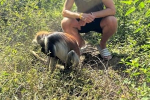 Laguna Azul, Bosque de Jozani, Playa Starfish y restaurante Rock