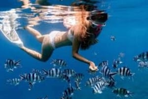 ブルーラグーン・シュノーケリング、スターフィッシュ＆ザ・ロック・レストラン訪問