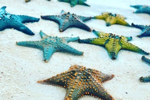 Snorkeling na Lagoa Azul, Restaurante The Rock, Excursão à Caverna Kuza