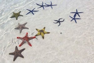 Blue Lagoon, Starfish Adventure, The Rock, Kuza Paje Beach