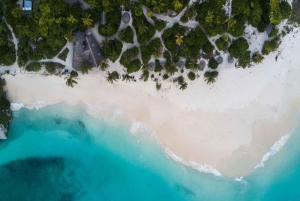 Blue Lagoon, Starfish Tour, The Rock, Kuza Cave, Paje Beach