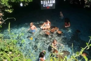 Sjøstjerner i den blå lagunen, svømming med skilpadder, Jozani-skogen og The Rock