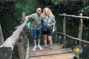 Sjøstjerner i den blå lagunen, svømming med skilpadder, Jozani-skogen og The Rock