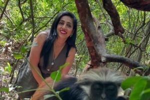 Sjøstjerner i den blå lagunen, svømming med skilpadder, Jozani-skogen og The Rock